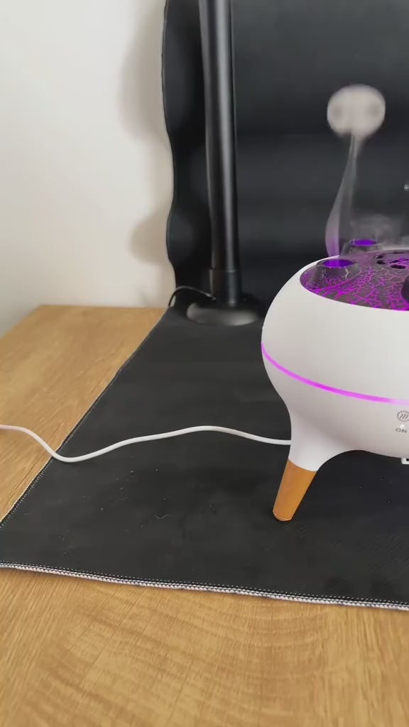 Charger la vidéo : 